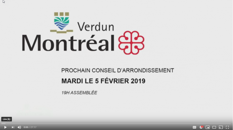 Séance du conseil du 5 février 2019 – Version courte