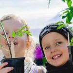 Vente de Plants potagers bio à l&rsquo;Île