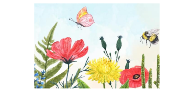 Le Babillard d’Explore du dimanche 25 février