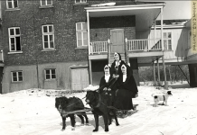 Des femmes actives à l’île St-Paul !