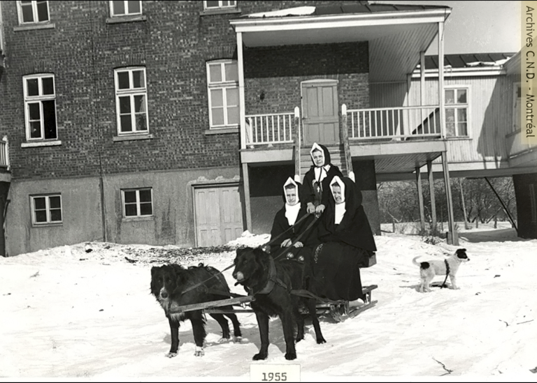 Des femmes actives à l’île St-Paul !