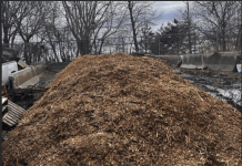 Besoin de paillis? Participez au grand ramassage!