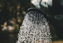 N’achetez pas d’outils de jardinage! Empruntez-les!