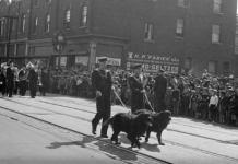 Dans les Collections de la SHGV