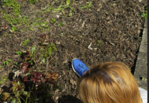 Besoin de compost ou de paillis pour votre jardin?