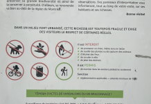 Le Boisé Saint-Paul : un milieu naturel fragile à protéger