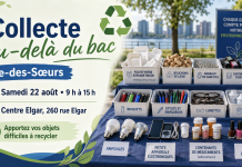 Collecte Au-delà du bac de l’Île-des-Sœurs d’août